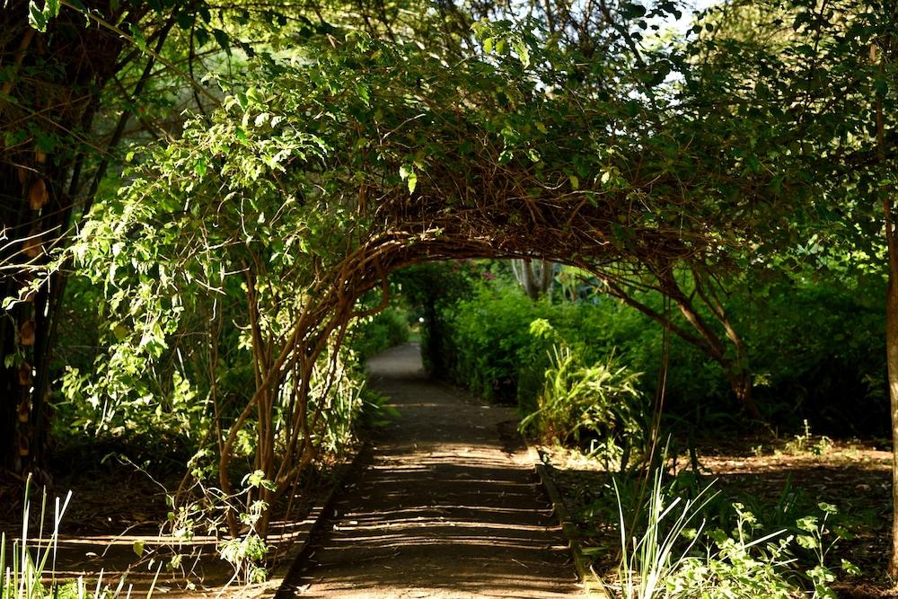 Moivaro Coffee Plantation Lodge Arusha Exterior photo